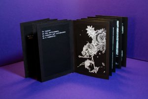 006-Siebdruck_Coexist-archive4